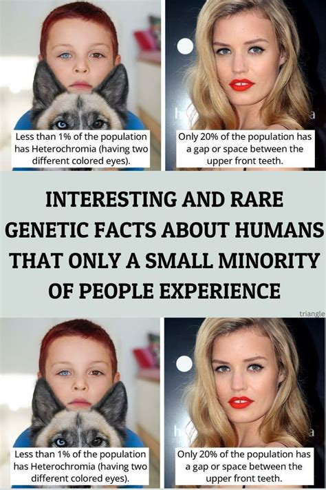Two Different Colored Eyes Facts About Humans Genetics Traits Wisdom