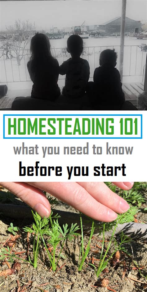 Things You Need To Know Before You Start Homesteading
