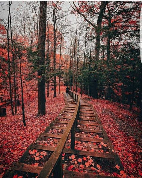Where i can look ugly and enjoy it. Raining-wallpaper-cool-whatsapp-status-027 | Canada ...