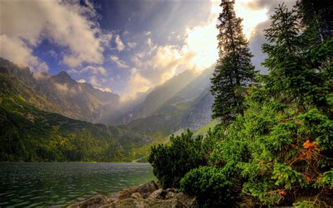 Body Of Water Surrounded By Trees And Mountain During Daytime Hd