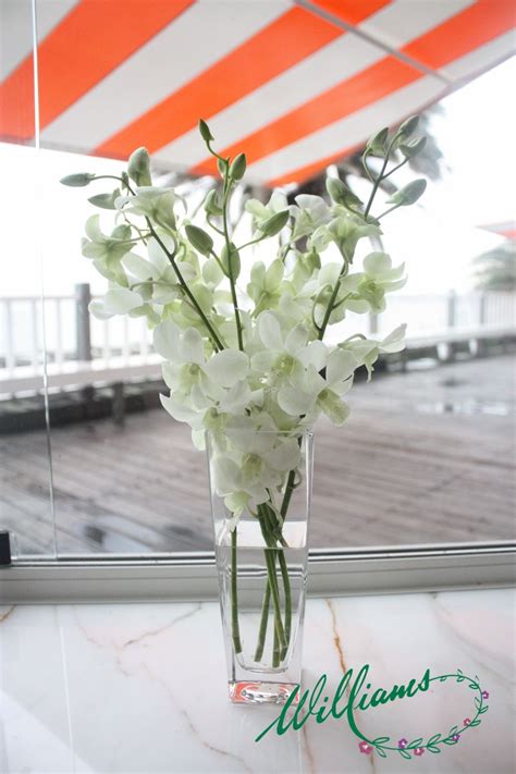 We have been around in business for years providing exceptional flower gifting services to thousands of customers with a 99% customer satisfaction rate in singapore. Fresh white Singapore Orchids. | White flowers, Beachside ...