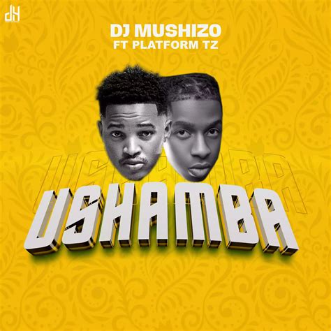Ushamba By Dj Mushizo Ft Platform Tz Mp3 Download