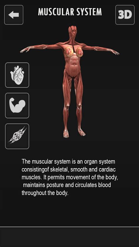 Female Anatomy 3d Female Body Visualizer Apk Do Pobrania Na Androida