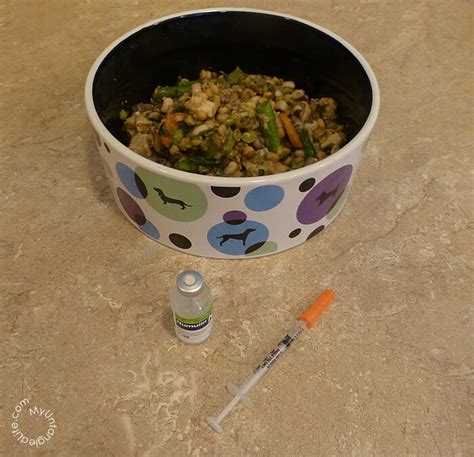 With twice daily injections, two meals of equal calories are given at the time of insulin administration. Homemade Diabetic Dog Food Recipe - Ruby Stewbie