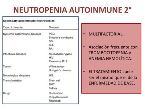 Neutropenia Autoinmune Del Adulto