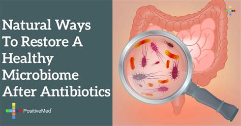 Natural Ways To Restore A Healthy Microbiome After Antibiotics