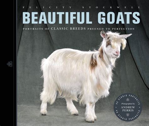 Beautiful Goats Portraits Of Classic Breeds Preened To Perfection Nhbs Academic