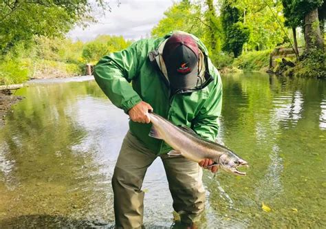 2019 Quilcene River Fishing Report The Lunkers Guide