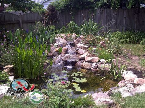 Rwg pond filters are easy to install, easy to clean, and provide you with more design options. KOI Pond, Backyard Pond & Small Pond Ideas for your ...