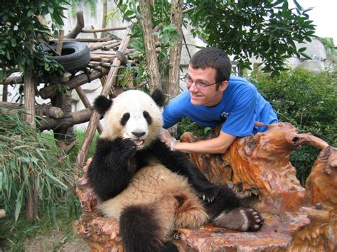 Dujiangyan Panda Base China Panda Conservation And Research Center Easy