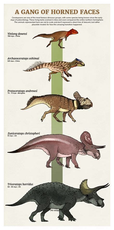 Triceritops Evolution Prehistoric Wildlife Prehistoric Dinosaurs