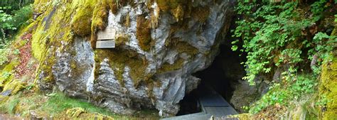 Oregon Caves National Monument And Preserve Oregon