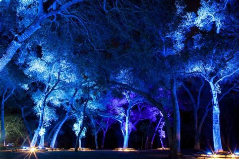 Cheap solar lamps, buy quality lights & lighting directly from china suppliers:solar garlands light 5m 7m 12m peach flower solar lamp power led string fairy lights 6v garden christmas decor for outdoor enjoy free shipping worldwide! grandMA2 onPC for "Enchanted: Forest of Light ...