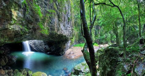 We handpicked more than 600,000 nature pictures for your choosing. Nature HD Wallpaper-Love Nature ~ Taste Wallpapers