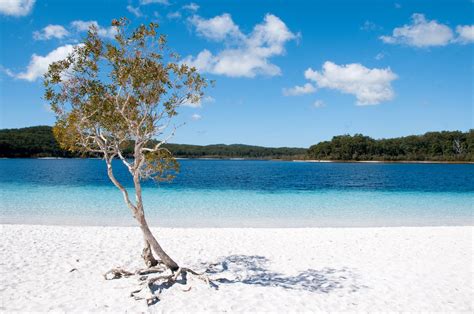 How Much Is Land Tax In Australia - Who Pays Land Tax In Wa