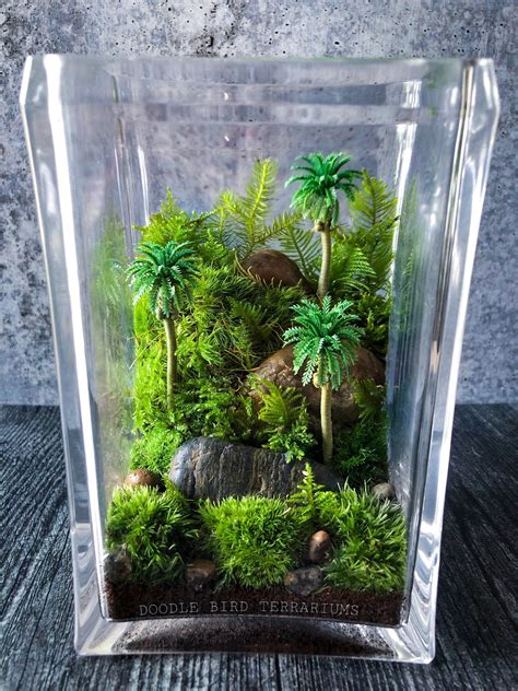 Terrarium Miniatures Set Of 3 Palm Trees Miniature Palm Trees