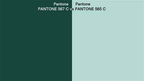 Pantone 567 C Vs Pantone 565 C Side By Side Comparison