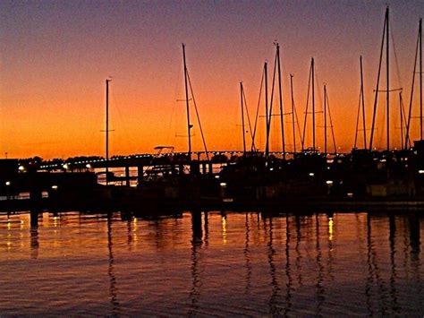 Captain memo's sunset champagne cruise. Sunset in Clearwater Marina Harbor, Florida | Dolphin ...