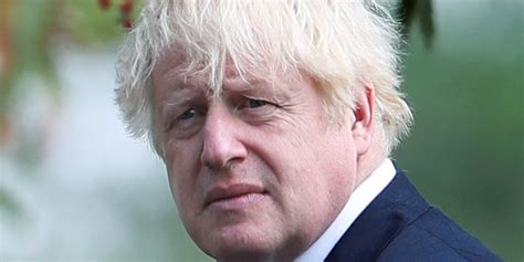 Prime minister boris johnson's wife carrie has announced she is pregnant uk news in pictures. Boris Johnson to resign in 2021, says Dominic Cumming's ...