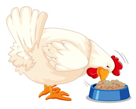 Grayscale Chicken Eating Clip Art At Clker Com Vector - vrogue.co