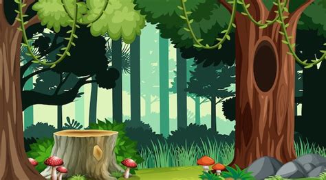 Bosque De Dibujos Animados De Fondo Vector Premium Images