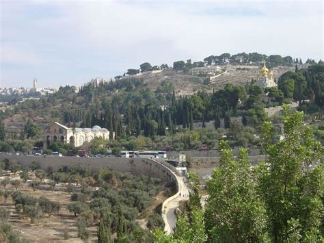 What Is The Mount Of Olives Lovella Oh