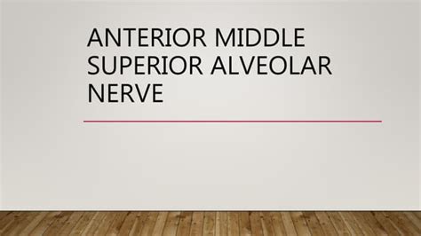 Anterior Middle Superior Alveolar Nerve Ppt