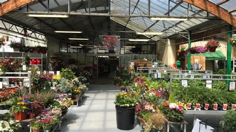 Jardinerie à Cluses : La jardinerie Delbard - Le Pays Gessien
