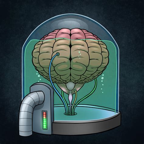 Brain In A Jar Cartoon Illustration By Aaroncillustrations On Deviantart