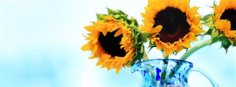 We did not find results for: Flower Facebook Covers, Timeline Page Covers by Kate.net