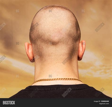 Adult Man Bald Head Image Photo Free Trial Bigstock