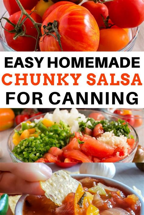 A good, simple salsa is easy to make, but full of flavor. Homemade Chunky Salsa for Canning | Recipe | Mild chunky ...