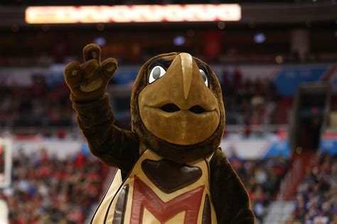 Ranking All 68 Ncaa Tournament Teams By Mascot For The Win