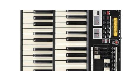 Hammond SKX Dual Manual Organ | Sweetwater