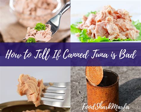How To Tell If Canned Tuna Is Bad In Four Simple Steps Food Shark