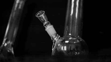 9 Different Types of Bongs and Which One You Should Try | Previous Magazine