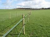 Electric Wire Fence For Horses Pictures