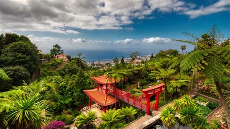 Für das sensible gleichgewicht der natur fördern und den schutz von lebensräumen. Botanische Garten Funchal Foto & Bild | europe, portugal ...