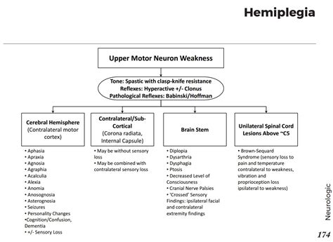 Causes Of Hemiplegia Differential Diagnosis Algorithm Cerebral