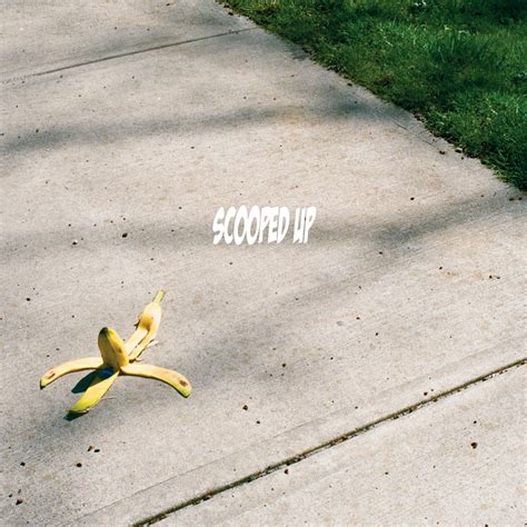 dumbass album by scooped up spotify