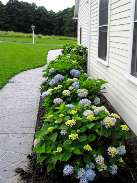 Landscaping ideas around the house. Sketch of How to Sweet Your Home Garden with Endless ...