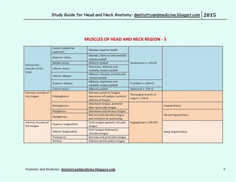 Clinically, surface anatomy is used to split the neck into anterior and posterior triangles which provide clues as to the location of specific structures. STUDY GUIDE FOR HEAD AND NECK ANATOMY - Muscles of Head ...