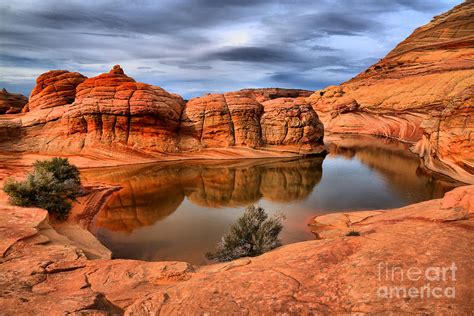 Reflections In The Red Rock Desert Photograph By Adam Jewell Pixels