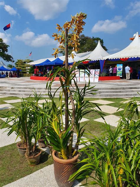 Hari peladang penternak dan nelayan kelantan 2011. Warisan Petani: Hari Peladang, Penternak dan Nelayan