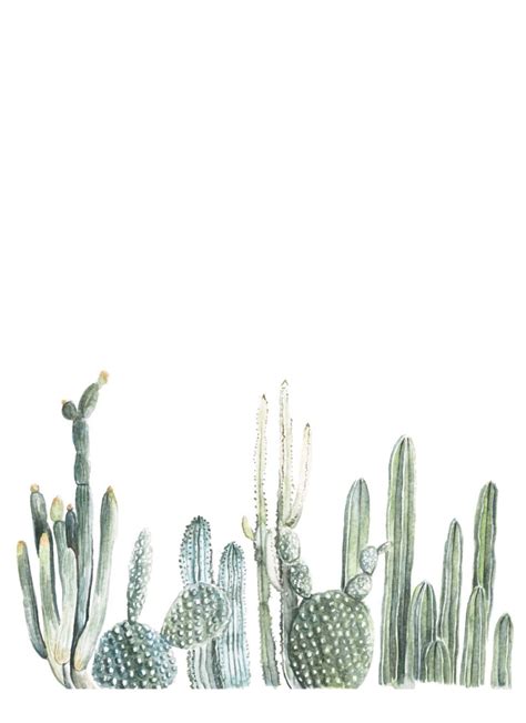 Aesthetic Cactus Wallpapers Top Free Aesthetic Cactus Backgrounds