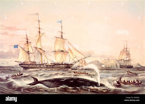 Whaling Off The Cape Of Good Hope In The Mid 19th Century Stock Photo