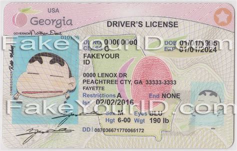How To Spot A Fake Georgia Drivers License Connectper