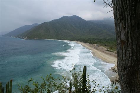 Se trataba de convertir al atlético nacional en un equipo que hiciera honor a su nombre, integrado únicamente por jugadores colombianos. PARQUE NACIONAL HENRI PITTIER, MÁS ANTIGUO DE VENEZUELA