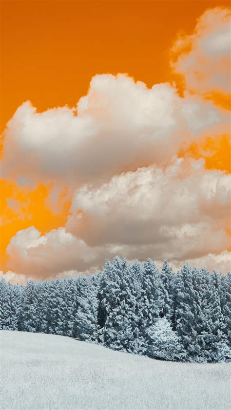2160x3840 A Snow Covered Field With Trees Under A Cloudy Sky Sony