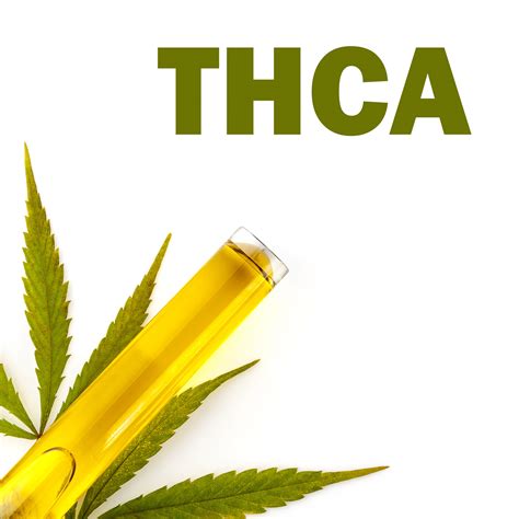 Buy Wholesale THCa Isolate - Bulk THCa For Sale
